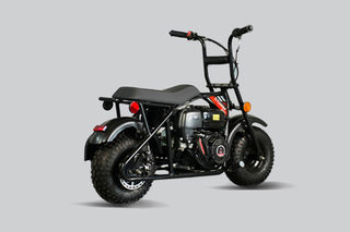 Storm 200 | TrailMaster