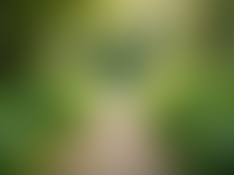 Unlock the Advantages of Holistic Wellness: Holistic Wellness Tips for a Balanced Life