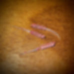 pink worm ice plastic