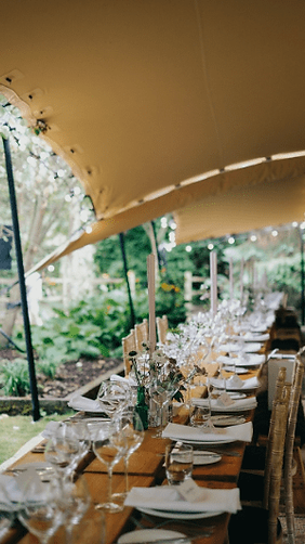 ChinoStretchTentWedding (1).png