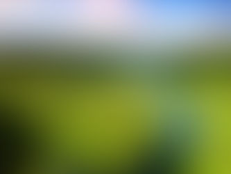 Desenvolvimento local é destaque em projeto da Tr3s em Tapiraí (SP)