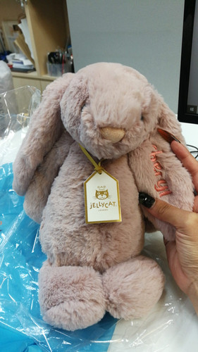 Blossom Blush Bunny 'Cherry' (Medium, 31cm) - Personalised