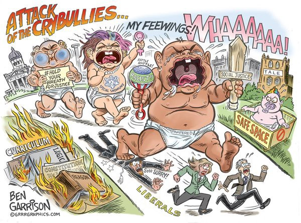 The Reggresive Left by Ben Garrison