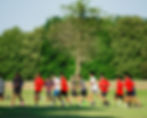 Stags-2.jpg