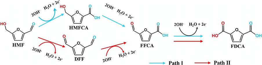 Reaction-pathways-of-5-hydroxymethylfurf