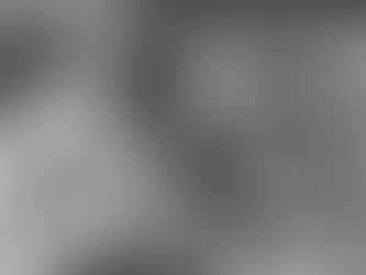 Pups with their new families