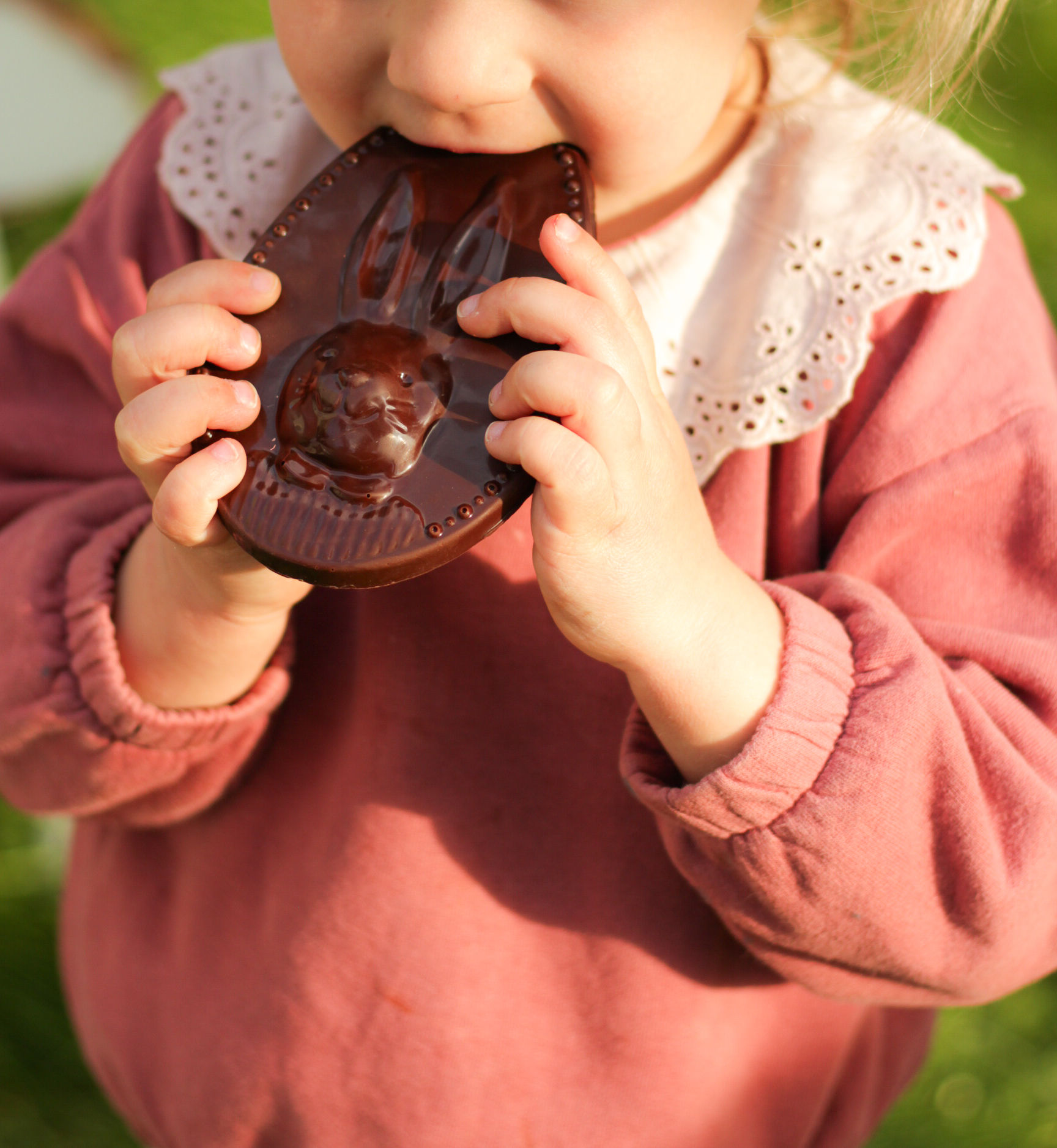 Précommande Martin Lapin exclusivité Paris et Dampierre-en-Yvelines