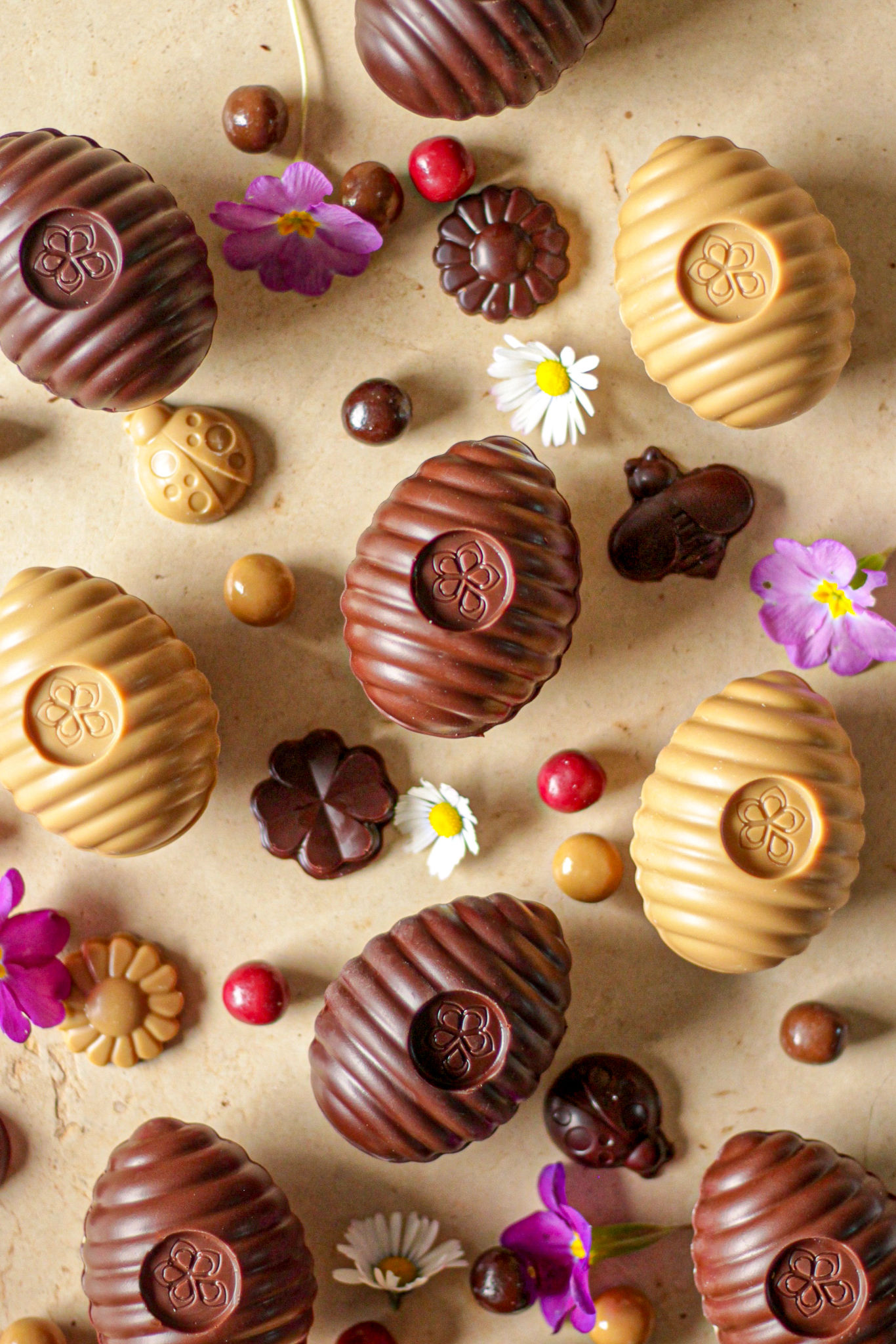 Mini ruche du jardin