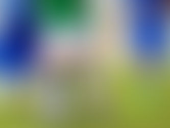 Per la stagione 2019/2020, l'Ac Cinisellese ASD diventa Milan Academy Scuola Calcio