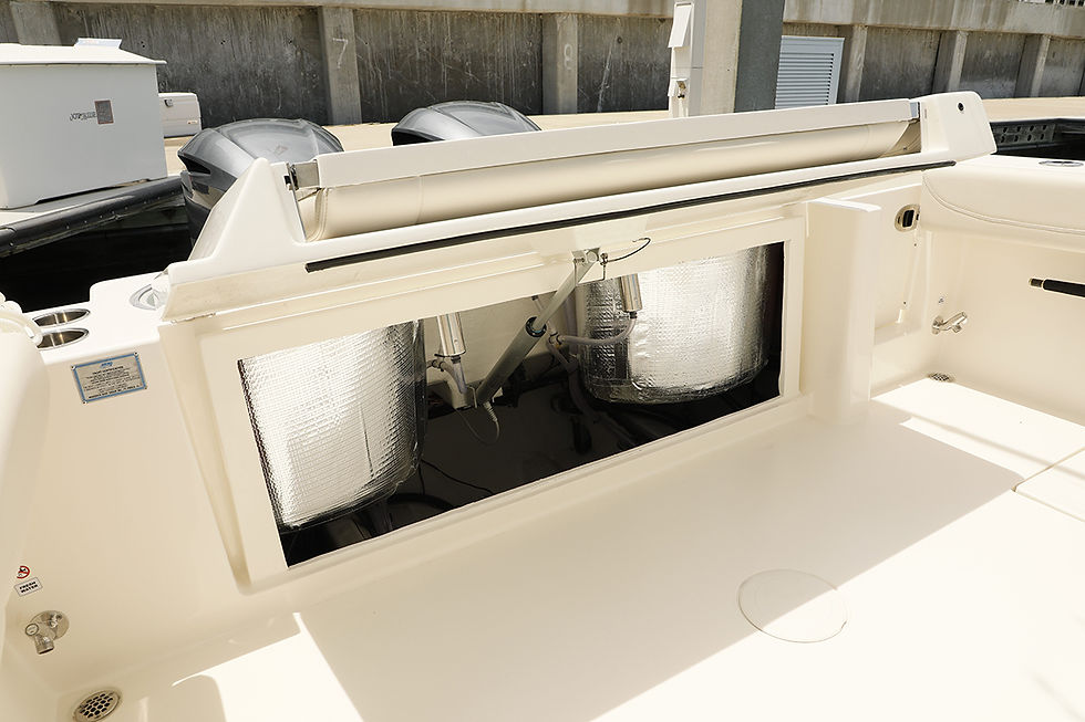 bilge maintenance made easy