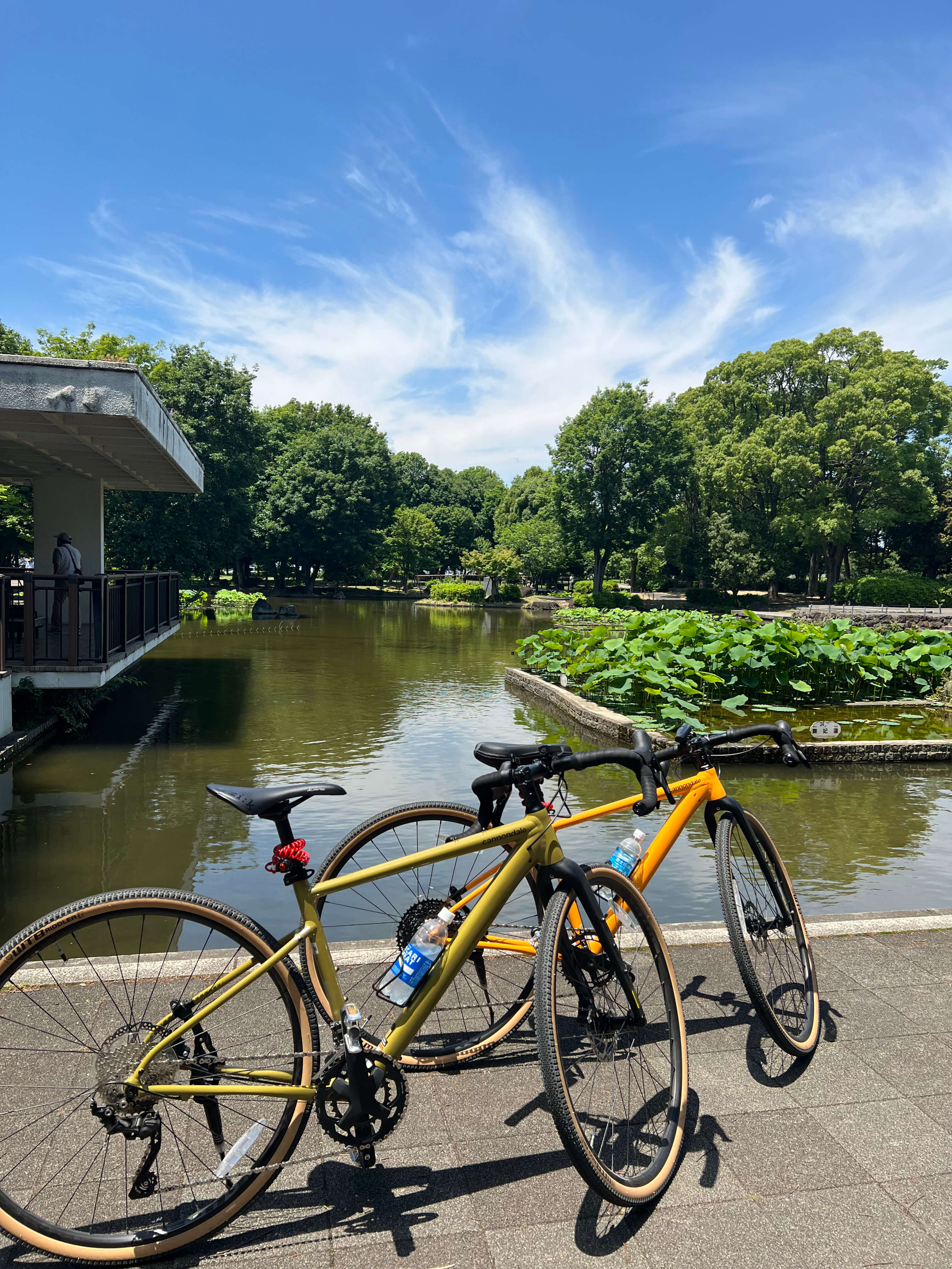 Hometown Forest Park.jpg