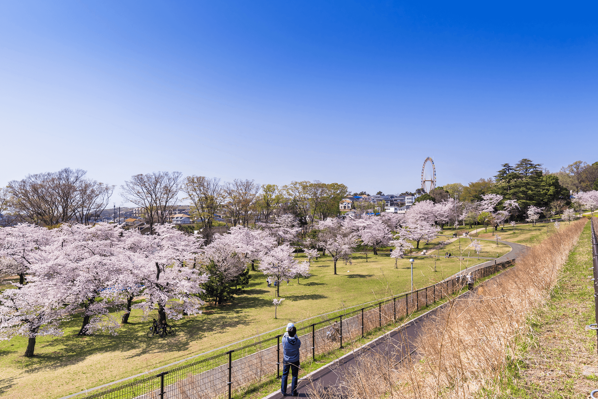 AdobeStock_200393587 2 (1).png