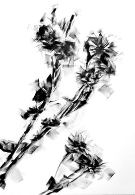 MARIONCADET_ «MAUVAISES HERBES»_OILONCANVAS_162CMX114CM_FEV2018.JPG