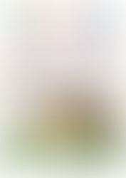 ＪＡリフォーム相談会