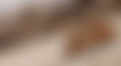 Farelere İnsan Beyni Hücreleri Aşılandı