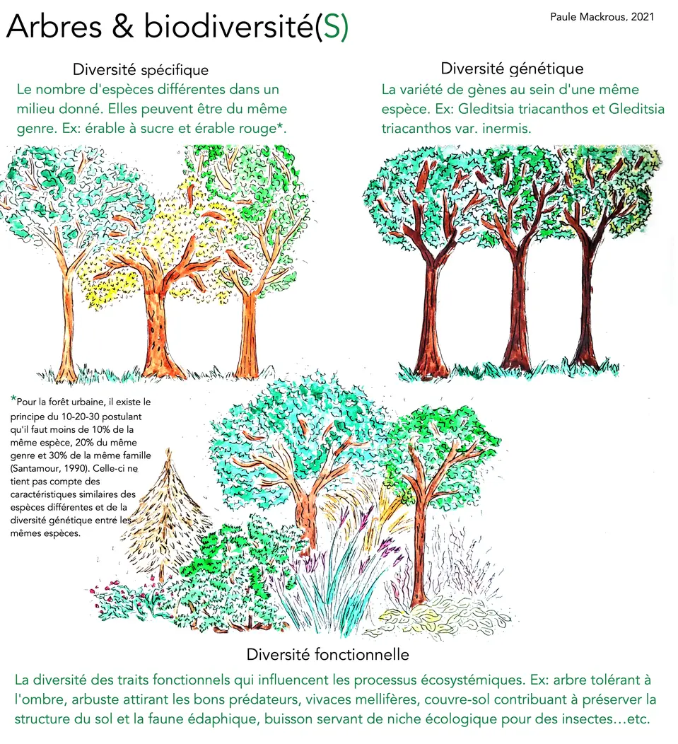poster5biodiversitycc81-2-2