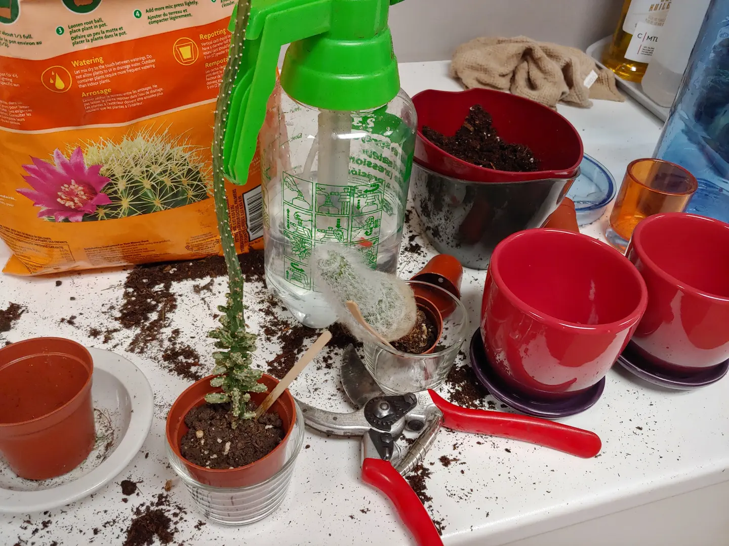 20190404_133103