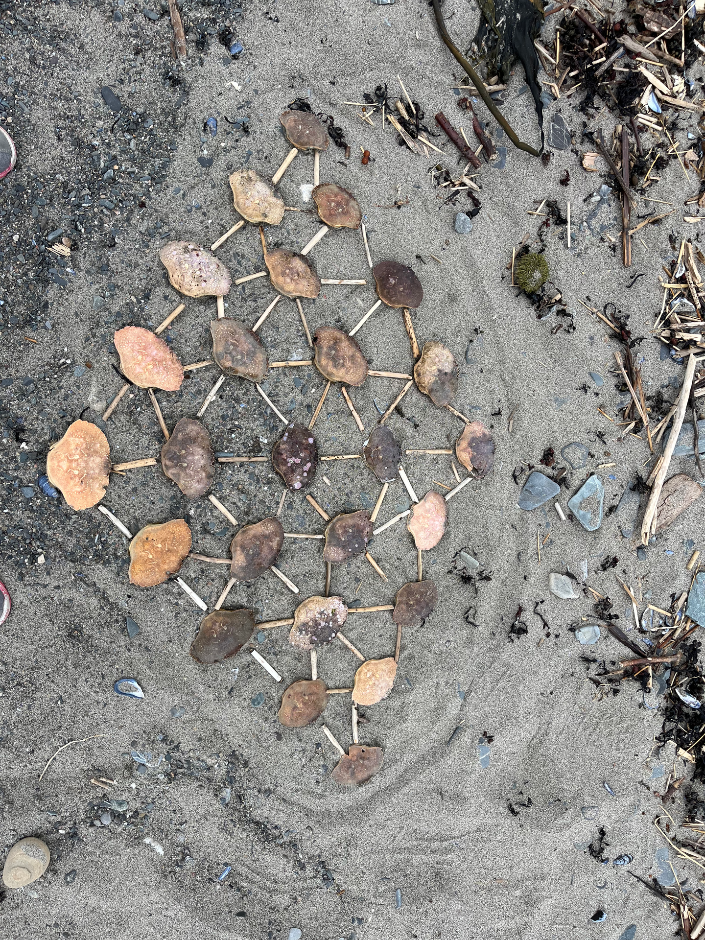 Land art, Paule Mackrous
