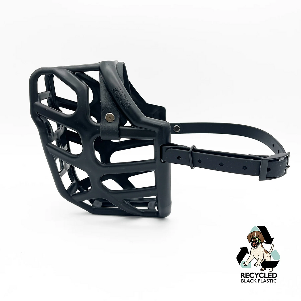 Thumbnail: Muzzle Movement Muzzle Taz