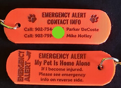 medical alert info key tag