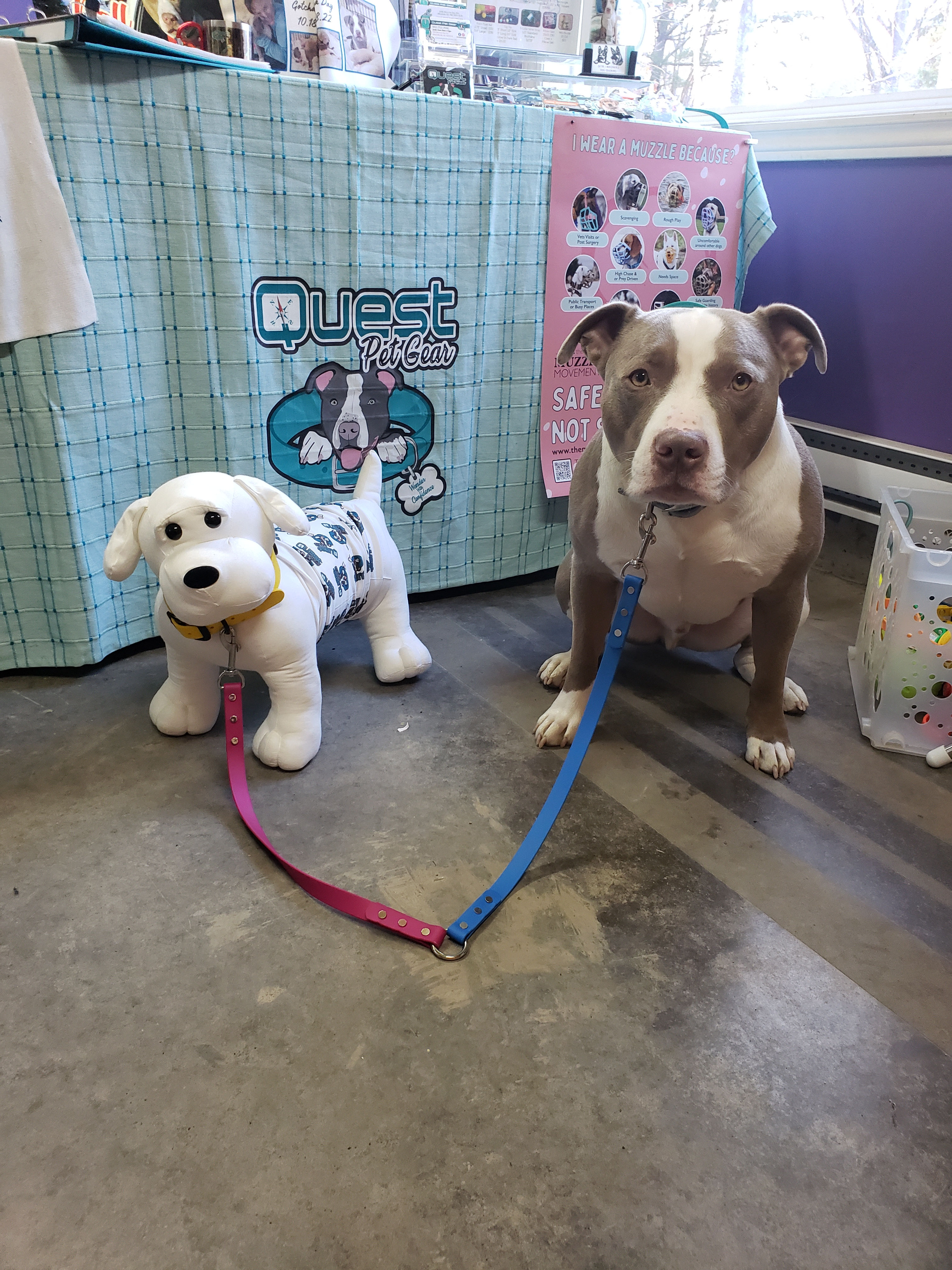 Biothane Dual Coupler 3/4