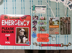 dog emergency safety kit