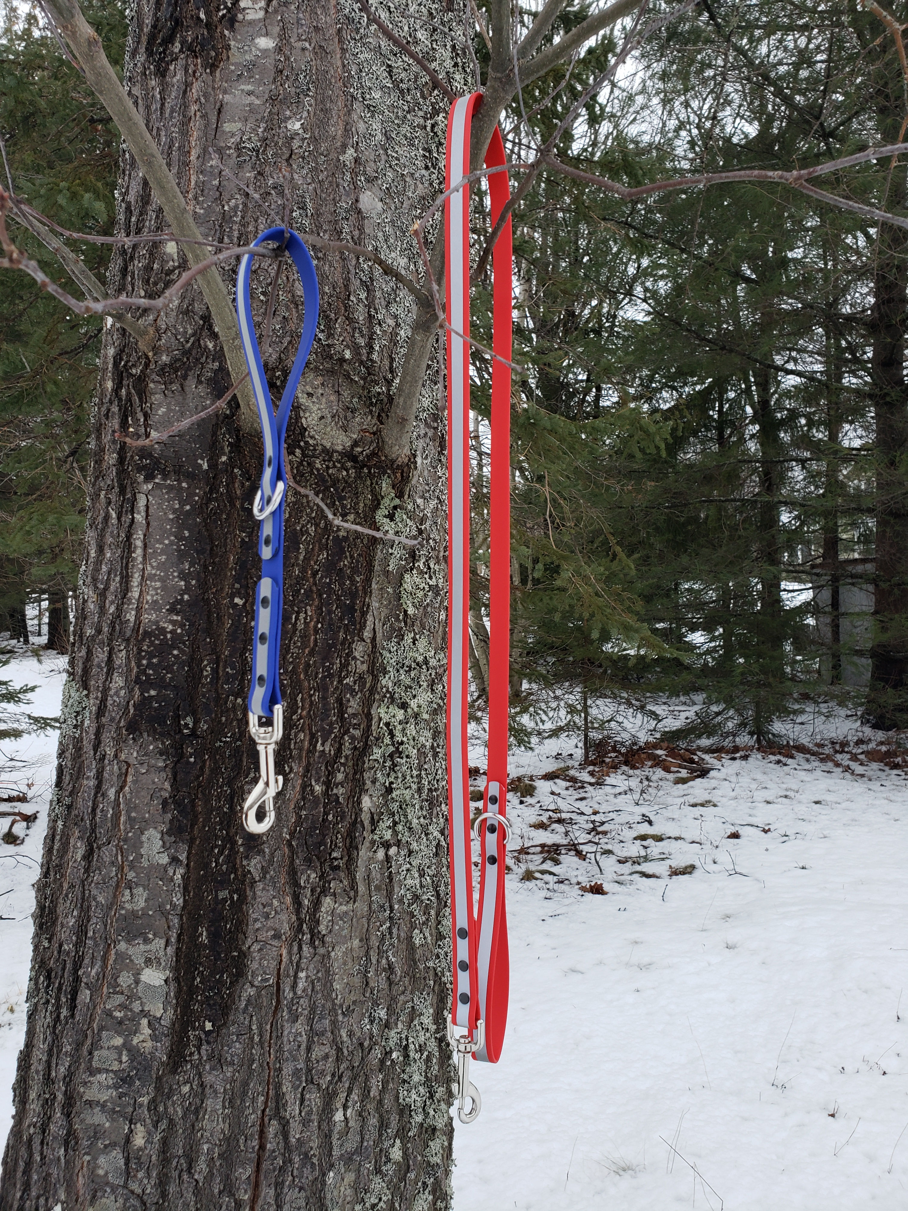 Quest Pet Gear Add On Reflective