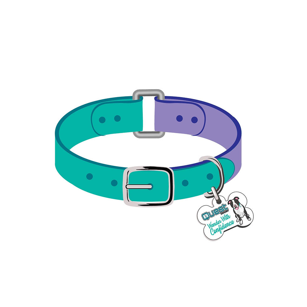 Thumbnail: Quest Pet Gear Biothane Buckle Collar 5/8"