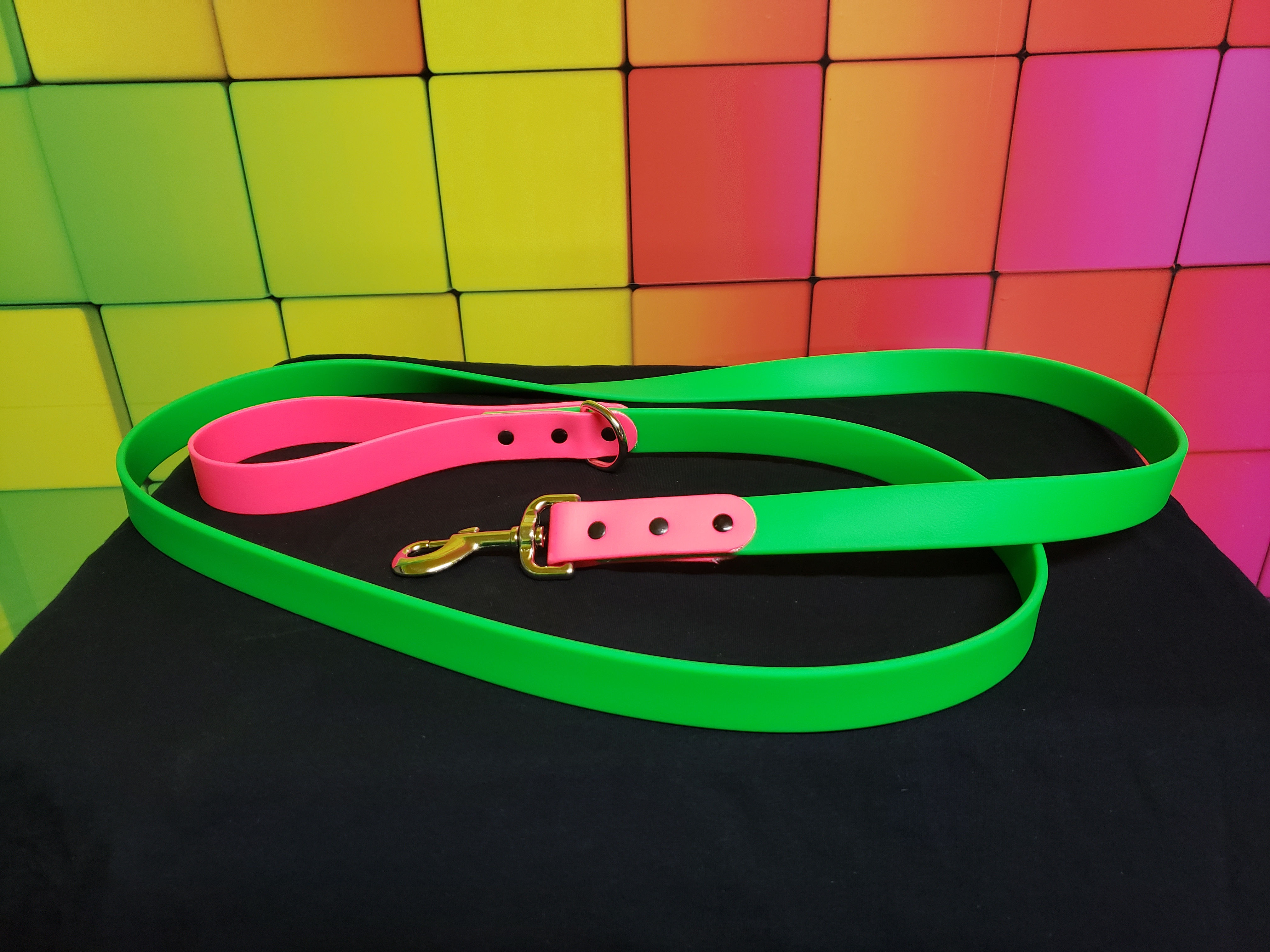 Quest Pet Gear Two Tone