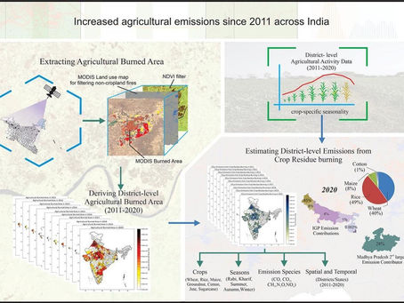 Transforming India's Energy Landscape with Torrefied Biomass Pellets
