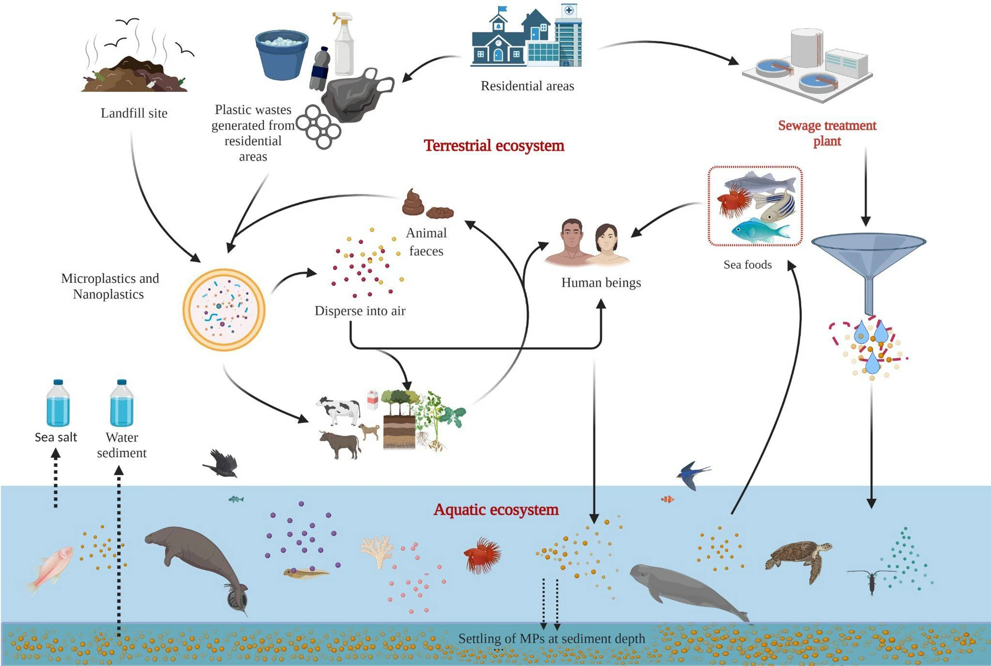 Life cycle of Micro Plastics (from origin to disposal)