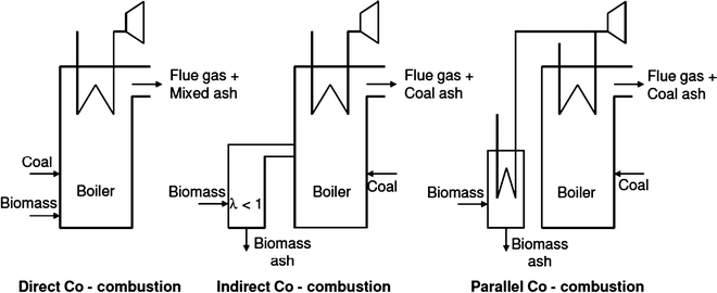 Different concepts of co-firing of biomass with fossil fuels.