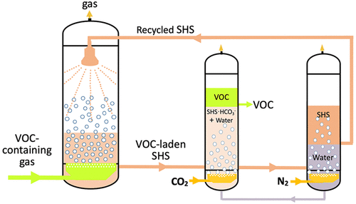 Chlorinated Solvents and Volatile Organic Compounds (VOCs)