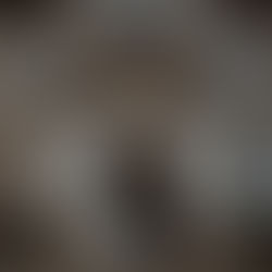 How to Plan a Wedding?