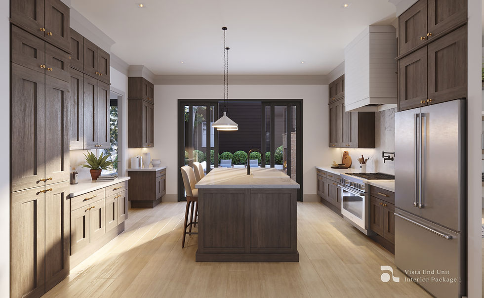 Vista Design 1 Kitchen copy.jpg