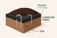 cross_section_infographic-w_ieqWGm.png
