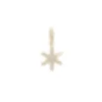diamond pave star charm