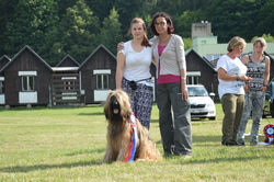 Selection Czech rep.