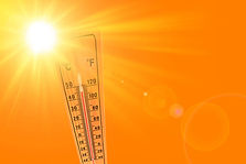 heat wave.jpeg