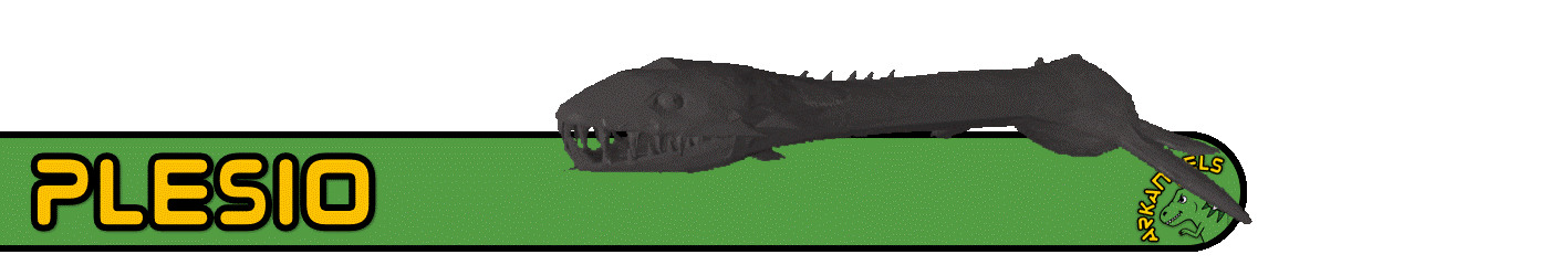 Plesio-Ark-Survival-Ascended-Small-Tribes-Shop
