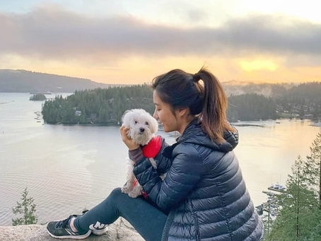 12 Things Only Vancouver Dog Owners Will Understand 
