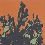 Johanna print for Wangaratta exh.jpg