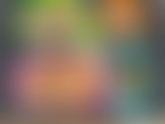 本日のメニュー