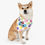 Thumbnail: Pet Bandana Paw Print Collar