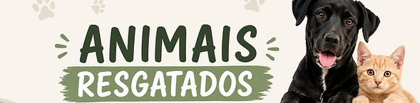 ChatGPT Image 8 de jul. de 2026, 13_55_02.png