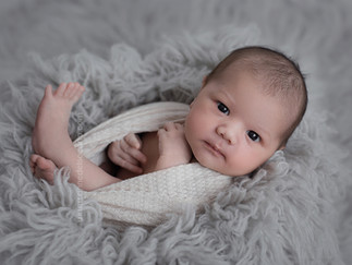 nouvea-né éveillé allongé sur un flokati gris, photo de studio