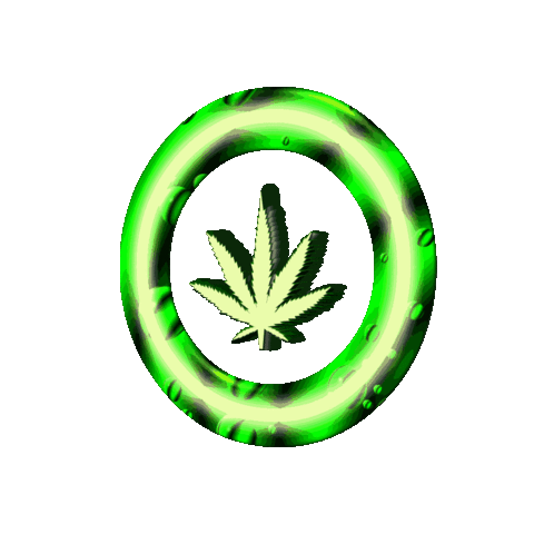 dispensary cannabis cannabis community cbd thc marijuana weed cannabis culture medical marijuana mmj dabs cannabis industry medical cannabis hemp indica sativa hightimes cbdoil dispensary life concentrates edibles weedstagram terpenes vape cannabis society budtender terps weedporn maryjane smoke happy love university nu purple eagles Lewiston ny Niagara falls ny village of Youngstown ny niagara