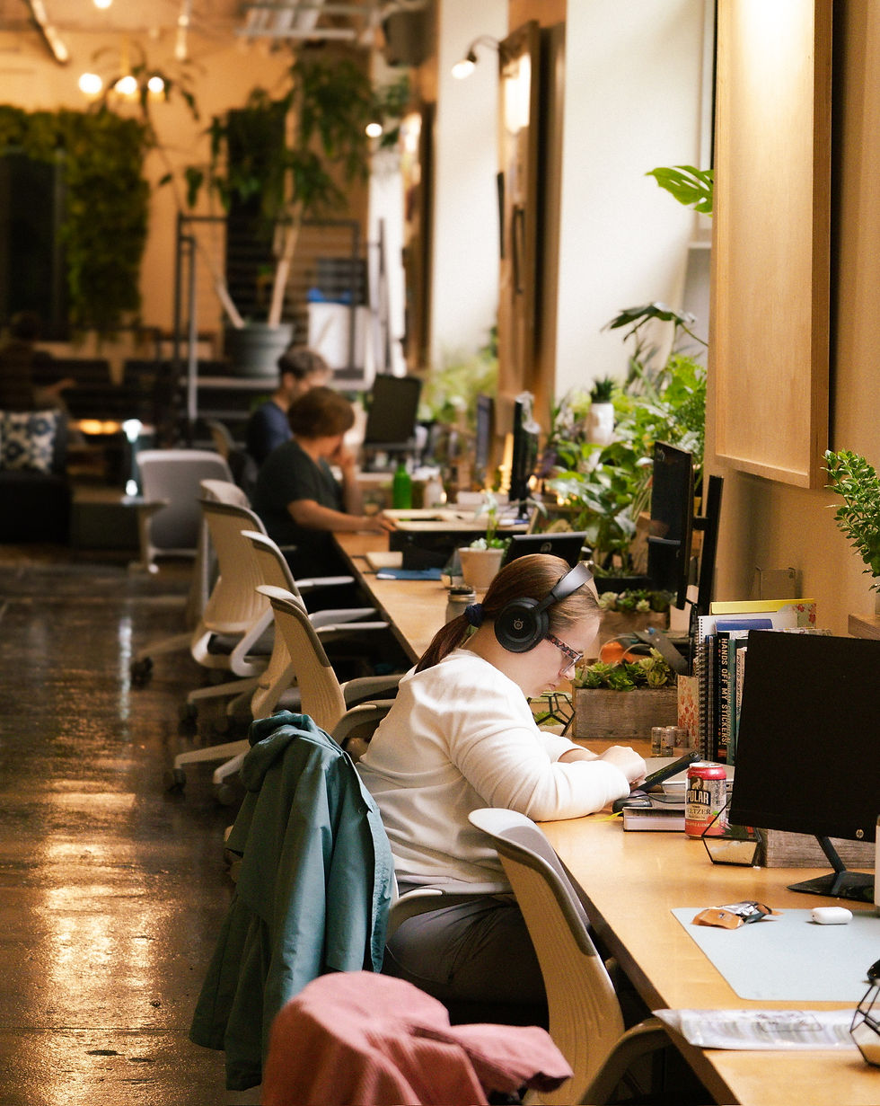 desks by windows.JPG