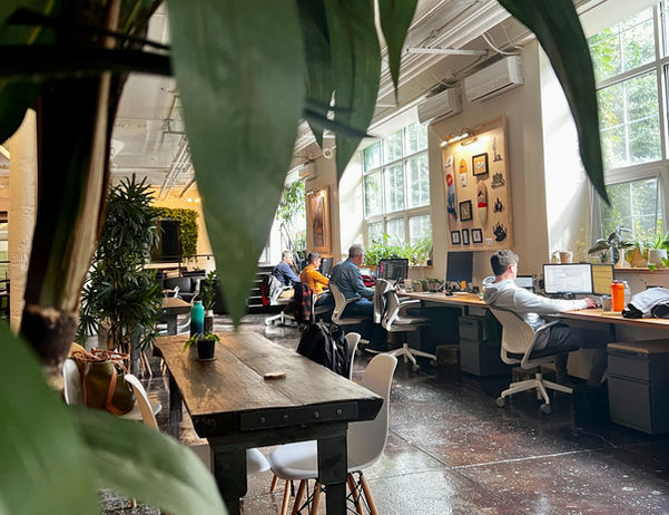 Office workspace with plants