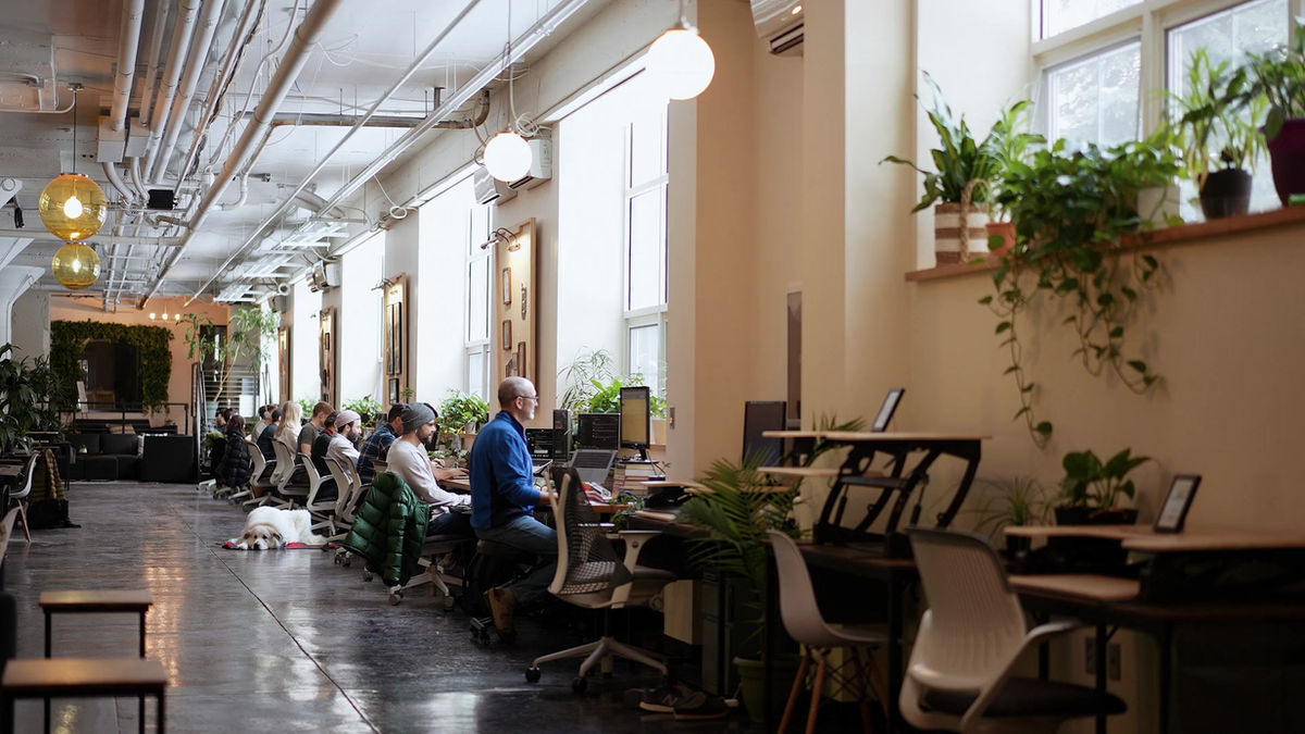 The Wilderness Fitness and Coworking